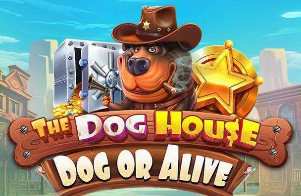 The Dog House Dog or Alive Spielautomat von Pragmatic Play